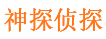 迎泽市私家侦探